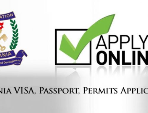 APPLICATION FOR BUSINESS VISA AND SHORT-TERM PASSES FOR EXPATRIATES IN TANZANIA.
